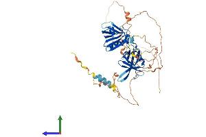 Protein Structure (PS) image for Docking Protein 3 (DOK3) (AA 1-496) protein (His tag) (ABIN7547173)