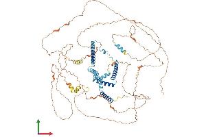 Protein Structure (PS) image for Reticulon 1 (RTN1) (AA 1-780) protein (His tag) (ABIN7559443)