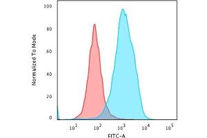 Flow Cytometric Analysis of paraformaldehyde-fixed HeLa cells using HSP60 Mouse Monoclonal Antibody (LK1) followed by goat anti-Mouse IgG-CF488 (Blue); Isotype Control (Red). (HSPD1 Antikörper)
