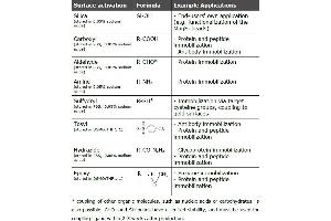 Active surfaces and example applications of MagSi-tools (MagSi-S SH 600 beads)