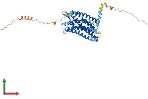Protein Structure (PS) image for Chemokine (C-C Motif) Receptor 2 (CCR2) (AA 1-373) protein (His tag) (ABIN7563394)