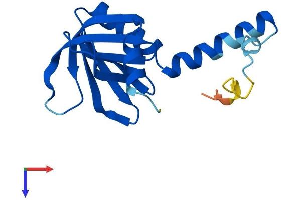 GNRPX Protein (AA 1-149) (His tag)