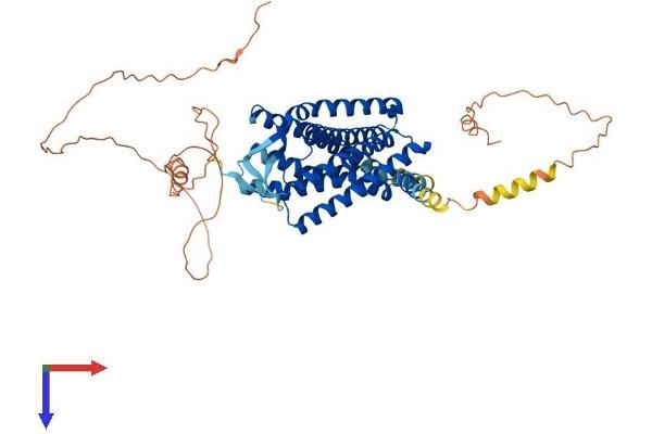 NPFFR2 Protein (AA 1-522) (His tag)