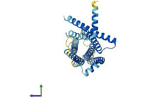 AlphaFold protein structure predicition of Human Recombinant TAS2R41 Protein, UniprotID P59536