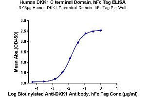ELISA image for Dickkopf Homolog 1 (DKK1) (AA 178-266), (C-Term) protein (Fc-Avi Tag) (ABIN7274474)