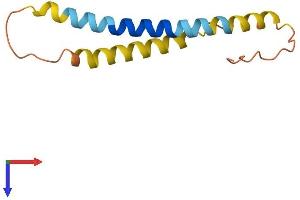 Reprimo Protein (RPRM) (AA 1-109) (His tag)