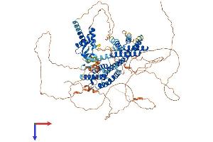 RFX6 Protein (AA 1-928) (His tag)