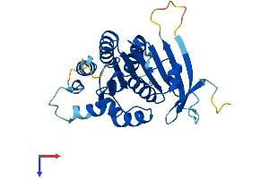 ELP6 Protein (AA 1-266) (His tag)