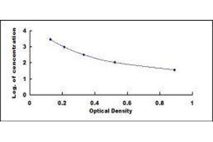 ELISA image for Pro-Insulin Like Growth Factor II E-Peptide (IGFIIE) ELISA Kit (ABIN414722)