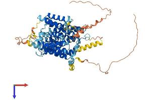 SLC23A3 Protein (AA 1-611) (His tag)