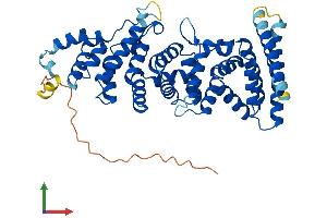 Protein Structure (PS) image for F-Box Protein 47 (FBXO47) (AA 1-451) protein (His tag) (ABIN7561869)
