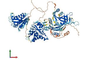AlphaFold protein structure predicition of Human Recombinant PARP9 Protein, UniprotID Q8IXQ6