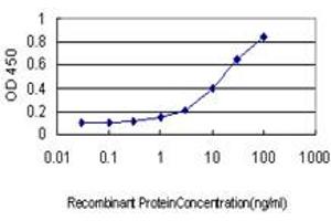 Detection limit for recombinant GST tagged SH2D3C is approximately 1ng/ml as a capture antibody. (SH2D3C Antikörper  (AA 1-110))