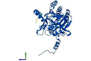 Protein Structure (PS) image for Ureidopropionase, beta (UPB1) (AA 1-384) protein (His tag) (ABIN7552848)