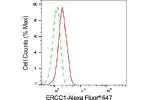 Flow cytometric analysis of ERCC1 expression in HepG2 cells using ERCC1 antibody (ABIN7798539), 1:2,000). (Rekombinanter ERCC1 Antikörper)