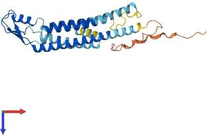 GJB5 Protein (AA 1-273) (His tag)