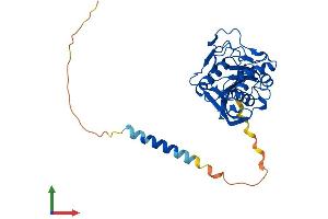 Protein Structure (PS) image for Xylosylprotein beta 1,4-Galactosyltransferase, Polypeptide 7 (Galactosyltransferase I) (B4GALT7) (AA 1-327) protein (His tag) (ABIN7559622)