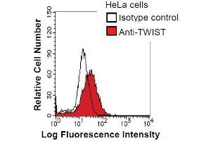 HeLa cells were fixed in 2% paraformaldehyde/PBS and then permeabilized in 90% methanol. (TWIST1 Antikörper)