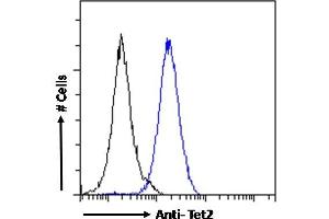 ABIN768637 Flow cytometric analysis of paraformaldehyde fixed NIH3T3 cells (blue line), permeabilized with 0. (TET2 Antikörper  (Internal Region))