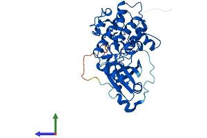 AlphaFold protein structure predicition of Human Recombinant PRKX Protein, UniprotID P51817