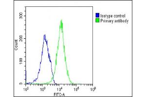 Overlay histogram showing U-2 OS cells stained with (ABIN6242977 and ABIN6577267)(green line). (TIM3 Antikörper)