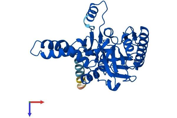 AWAT1 Protein (AA 1-328) (His tag)
