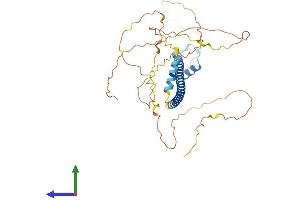 Protein Structure (PS) image for CAMP Responsive Element Binding Protein 3-Like 4 (CREB3L4) (AA 1-395) protein (His tag) (ABIN7546835)