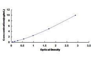 ELISA image for Mitogen-Activated Protein Kinase 13 (MAPK13) ELISA Kit (ABIN419254)