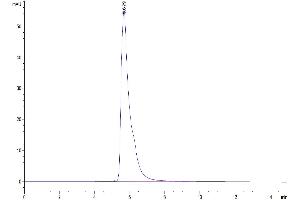 Size-exclusion chromatography-High Pressure Liquid Chromatography (SEC-HPLC) image for Poliovirus Receptor-Related 2 (Herpesvirus Entry Mediator B) (PVRL2) (AA 32-360) protein (Fc Tag) (ABIN7275305)