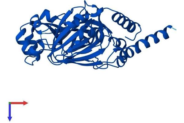 JMJD7 Protein (AA 1-316) (His tag)