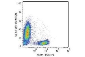 Flow Cytometry (FACS) image for anti-CD28 (CD28) antibody (ABIN781619) (CD28 Antikörper)