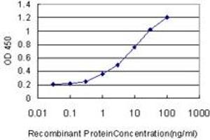 Detection limit for recombinant GST tagged HECTD1 is approximately 0. (HECTD1 Antikörper  (AA 3-110))