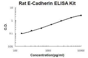 Rat E-Cadherin PicoKine ELISA Kit standard curve (E-cadherin ELISA Kit)