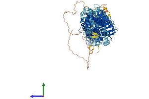 AlphaFold protein structure predicition of Mouse Recombinant Slc12a3 Protein, UniprotID P59158