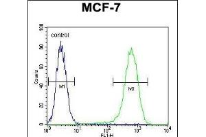NUDT8 Antibody (N-term) (ABIN654517 and ABIN2844241) flow cytometric analysis of MCF-7 cells (right histogram) compared to a negative control cell (left histogram). (NUDT8 Antikörper  (N-Term))