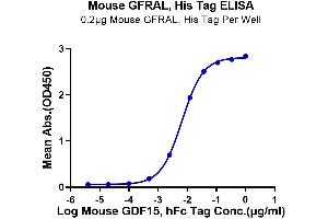 Immobilized Mouse GFRAL, His Tag at 2 μg/mL (100 μL/well) on the plate. (GFRAL Protein (His-Avi Tag))