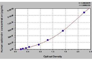 Typical standard curve (CALB1 ELISA Kit)