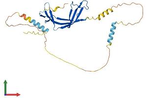 Protein Structure (PS) image for ELL Associated Factor 2 (EAF2) (AA 1-262) protein (His tag) (ABIN7560144)