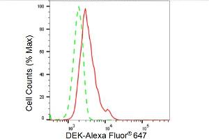 Flow cytometric analysis of DEK expression in HeLa cells using DEK antibody (ABIN7798303), 1:2,000). (Rekombinanter DEK Antikörper)