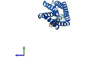 Protein Structure (PS) image for Tumor Necrosis Factor, alpha-Induced Protein 8-Like 2 (TNFAIP8L2) (AA 1-184) protein (His tag) (ABIN7561144)