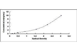 Typical standard curve (CCR4 ELISA Kit)