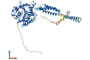 Protein Structure (PS) image for Atlastin GTPase 1 (ATL1) (AA 1-558) protein (His tag) (ABIN7552442)