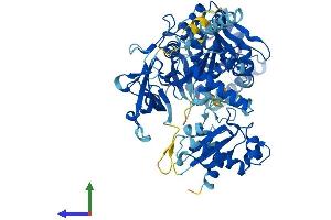 Protein Structure (PS) image for Acyl-CoA Synthetase Long-Chain Family Member 5 (ACSL5) (AA 1-683) protein (His tag) (ABIN7551877)