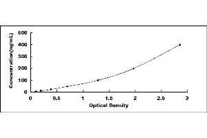 ELISA image for Surfactant Protein D (SFTPD) ELISA Kit (ABIN4948050)