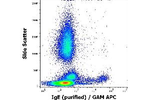 Flow cytometry surface staining pattern of human peripheral whole blood stained using anti-human IgE (4G7. (Maus anti-Human IgE Antikörper)