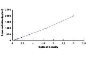 Leukocyte Cell Derived Chemotaxin 1 (LECT1) ELISA Kit