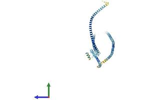 Protein Structure (PS) image for Meiosis-Specific Nuclear Structural 1 (MNS1) (AA 1-491) protein (His tag) (ABIN7557745)