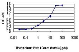 Detection limit for recombinant GST tagged STAU2 is approximately 0. (Double-stranded RNA-binding protein Staufen homolog 2 (STAU2) (AA 2-90) Antikörper)
