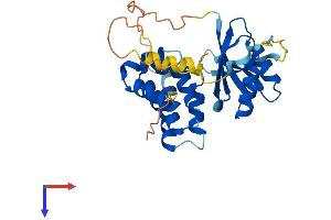 ARMC1 Protein (AA 1-282) (His tag)