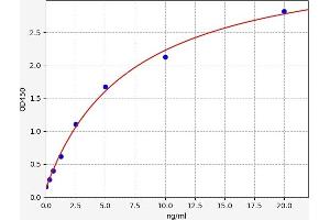 CNR1 ELISA Kit